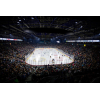 Belfast Giants V Herlev Eagles
