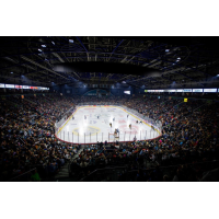 Belfast Giants V Herlev Eagles