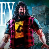 40 Years Of Foley