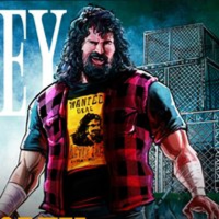 40 Years Of Foley