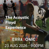 Acoustic Floyd Experience with Terrasonic2