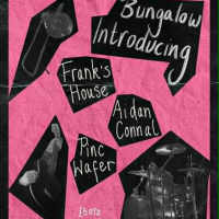 Frank's House, Pinc Wafer and Aidan Connell
