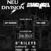 Neu Division, Strange Angles & Zoo Disco