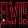Mark Green as Elvis