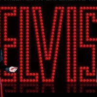 Mark Green as Elvis