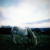 Dean McPhee + The Horse Loom