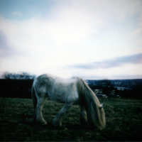 Dean McPhee + The Horse Loom