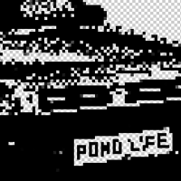 Pond Life Bristol - 3WA b2b DASEPLATE + 100% Community b2b + Hom