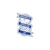 Birmingham City Women V Brighton &amp; Hove Albion
