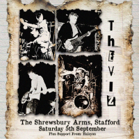 The Viz LIVE