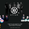 A Night Of Local Music - Avian, Son Of Shinobi &amp; Scarlett Fever