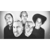 The Afghan Whigs