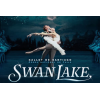 Ballet de Santiago Swan Lake