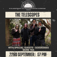 The Telescopes - Live @ Billy's 7Upstairs Birthday Celebrations
