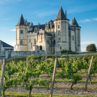 World of Wine: Fantastic France!