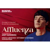 Affluenza
