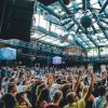 Moondance 31 - Summer Session