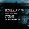 Overview x Crossroad Present: Waeys &amp; Klinical