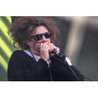 The Cureheads + Siouxsie & The Budgies
