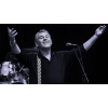 The Beat - Dance Crazed Too UK Tour