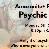 Fairywishes+Amazonite Psychic Shuffle