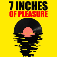7 INCHES OF PLEASURE You pick them, we play them!