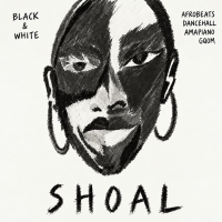 Shoal