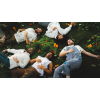 Young the Giant