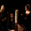 Idrîsî Ensemble: Live at St Marylebone Church (matinee)
