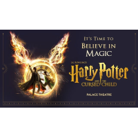 Harry Potter and the Cursed Child - One Part Show