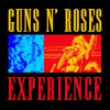 Guns n' Roses LIVE tribute