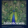 The Bluetones: 'Expecting To Fly' 30th Anniversary Tour