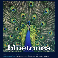 The Bluetones: 'Expecting To Fly' 30th Anniversary Tour