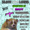 Slow Slow Loris with support