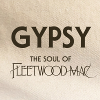 Gypsy the soul of Fleetwood Mac