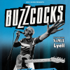 The Buzzcocks - Attitude Adjustment