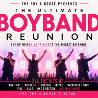 The Ultimate Boyband Reunion - Live