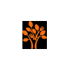 The Orange Tree