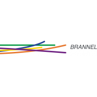 Brannel School
