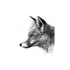 The Fox Revived