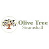 Olive Tree