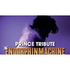 Prince Tribute... Endorphinmachine
