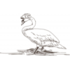 White Swan Inn