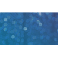 Newport County v Crawley Town