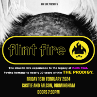 Flint Fire