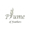 The Plume Of Feathers