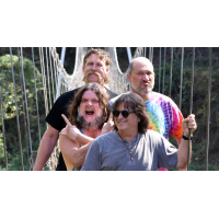 Hayseed Dixie