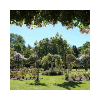 Bantock Park Gardens