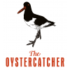 Oystercatcher