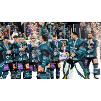 Belfast Giants V Dundee Stars
